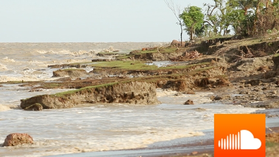 PODCAST: Unavoidable Impact of Climate Change